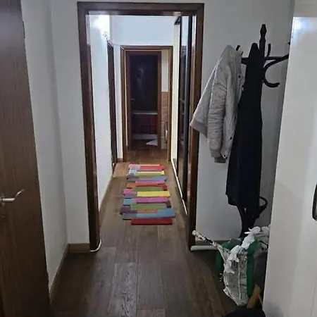 Near Shopping Apartmán Temešvár